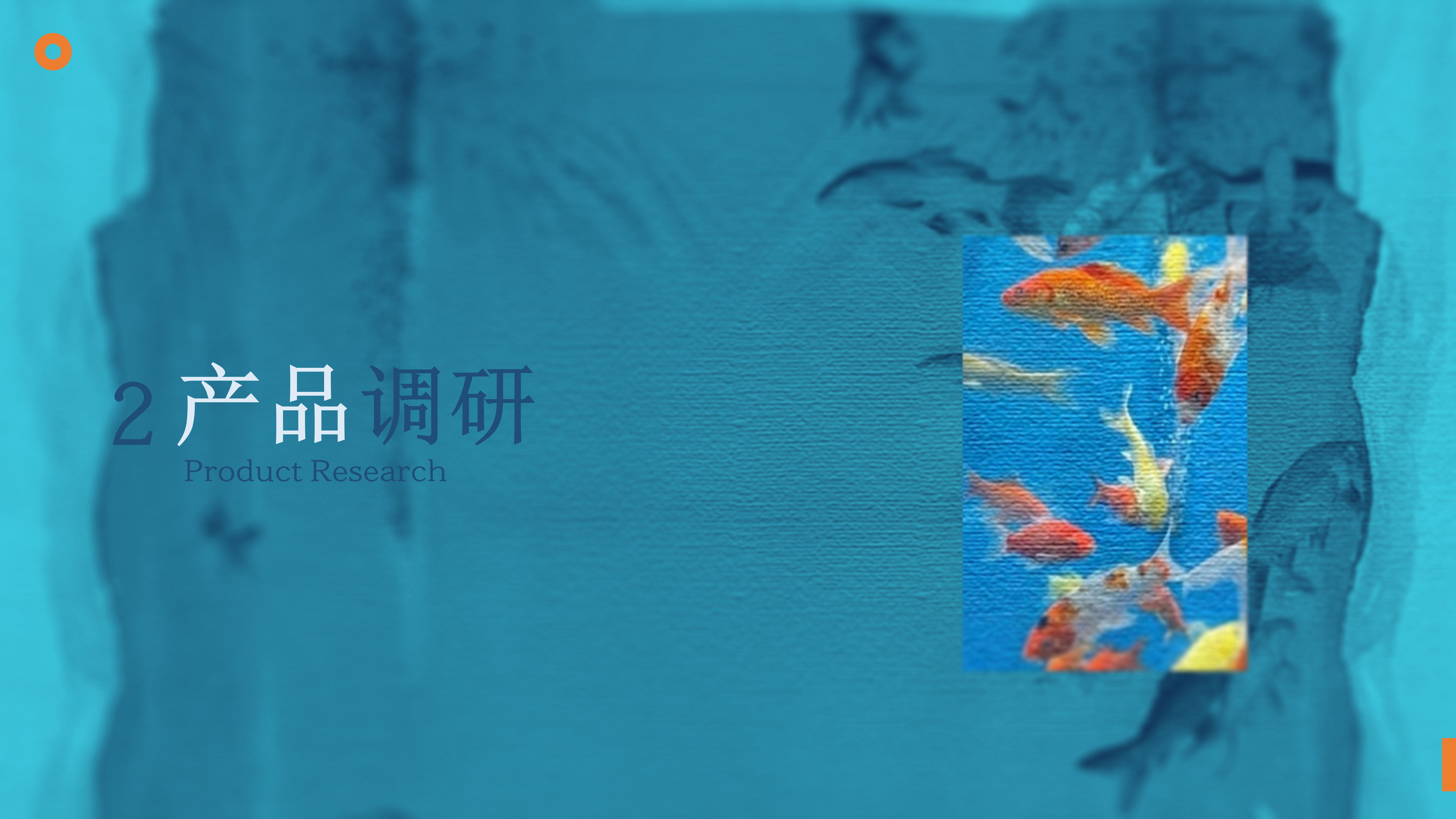 鱼悦 YUMO RESEARCH 调研